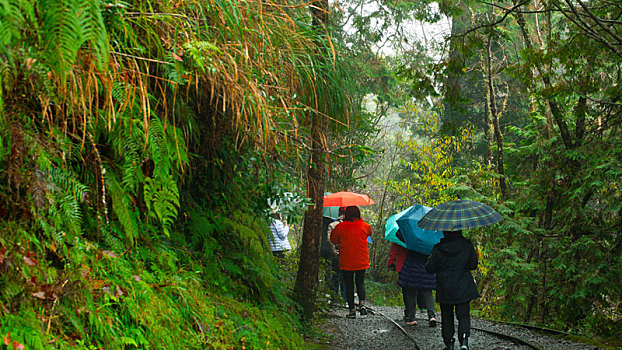 台湾宜兰县太平山见晴古道,是著名的旅游胜地