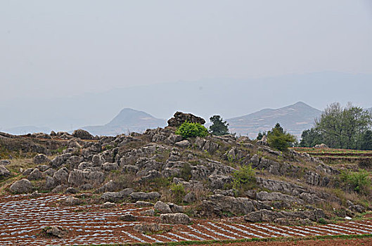 小尖山石林