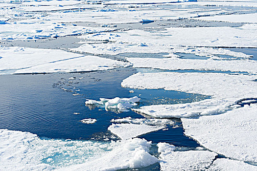 浮冰,北冰洋,斯匹次卑尔根岛,斯瓦尔巴群岛,挪威,欧洲