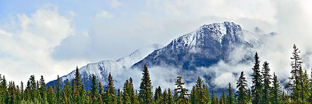 班芙国家公园,风景,全景,雾状,山,树林,加拿大