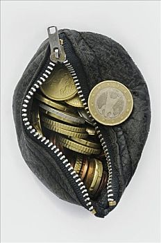 钱包,欧元硬币