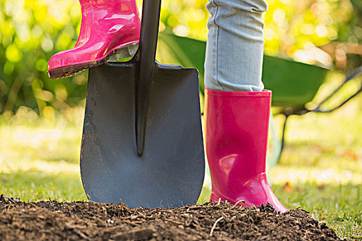 女人,穿,粉色,胶靴,铲,花园