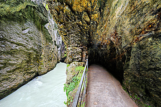 隧道,峡谷,靠近,伯恩高地,伯恩,瑞士,欧洲
