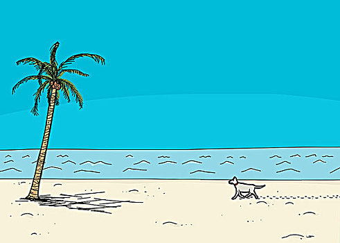 狗,走,一个,海滩