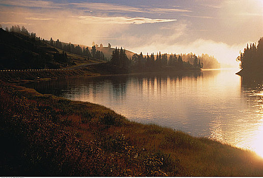 弓河,日落,靠近,艾伯塔省,加拿大