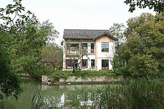 西溪湿地里的现代农民房屋