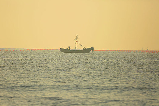 山东省日照市,渔船在金色波涛中拉网捕鱼