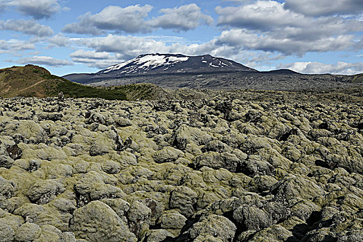 冰岛,火山,南,老,熔岩原,苔藓密布
