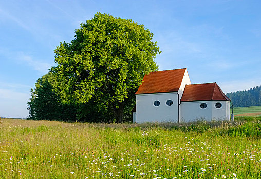 小教堂,靠近,斯瓦比亚,巴伐利亚,德国,欧洲