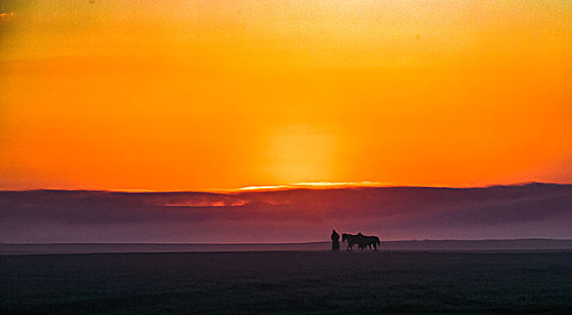 呼伦贝尔大草原的早晨
