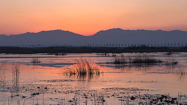 沙湖农场,沙湖景区