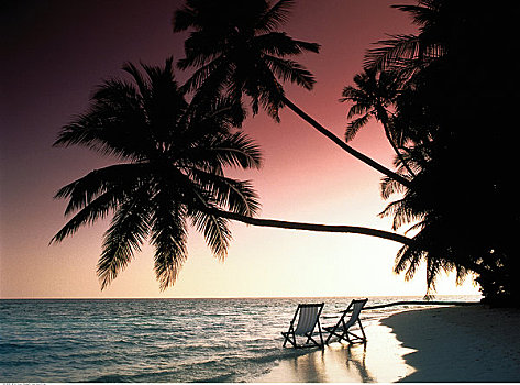 剪影,两个,椅子,棕榈树,海滩,日落,马尔代夫,印度洋