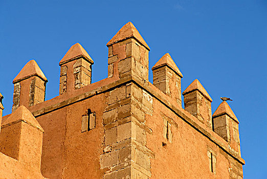 塔,墙壁,围绕,历史,地区,拉巴特,蓝色,天空,摩洛哥,非洲
