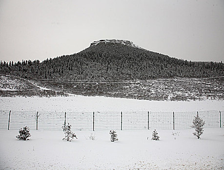 四川,黄龙,雪山,寒冷,村庄,户外