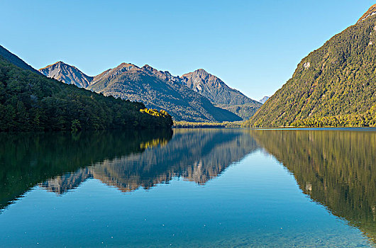 湖,反射,峡湾国家公园,南部地区,南岛,新西兰,大洋洲