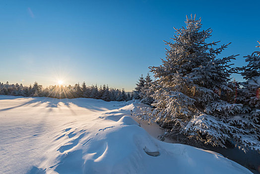 冬季长白山的雪地和雾凇