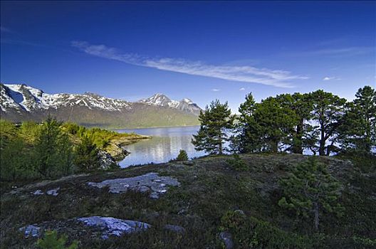 高山湖,罗弗敦群岛,挪威,斯堪的纳维亚,欧洲