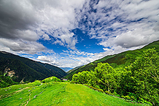 夏天的山野四姑娘山