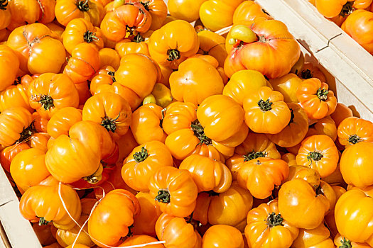 西红柿,市场,法国