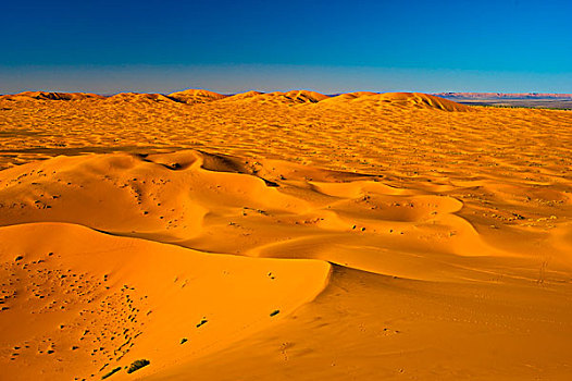 沙子,沙丘,晚间,亮光,南方,摩洛哥,非洲