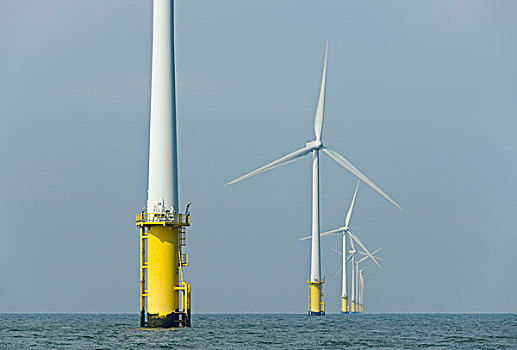 风电场,北海