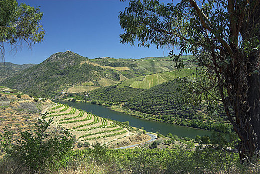 河,杜罗地区,北方,葡萄牙
