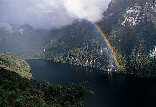 彩虹,上方,泻湖,亚马逊,秘鲁,南美