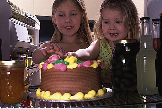 两个女孩,味道,生日蛋糕,电冰箱