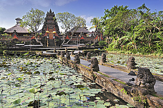 庙宇,乡村,乌布,巴厘岛,印度尼西亚