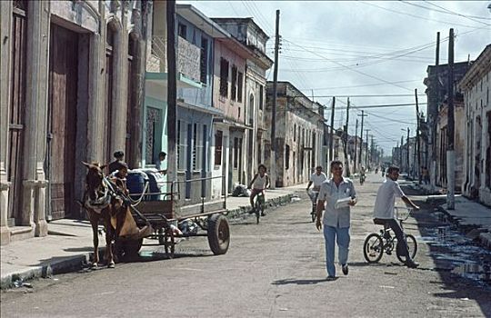 马,马车,自行车,普通,运输,古巴