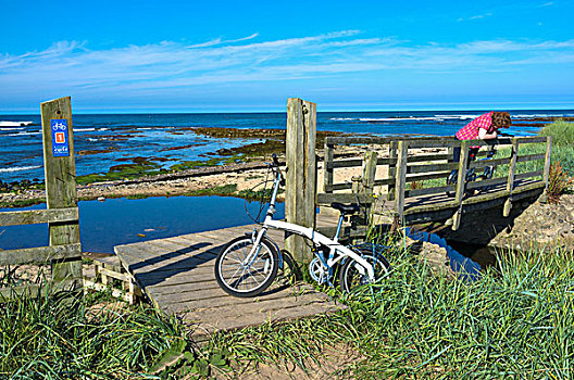 女人,站立,自行车,木桥,俯视,水,诺森伯兰郡,英格兰