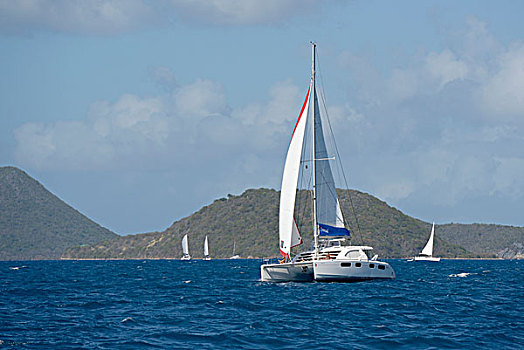 加勒比,英属维京群岛,双体船,航行,大幅,尺寸
