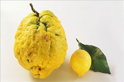 柚子,柠檬