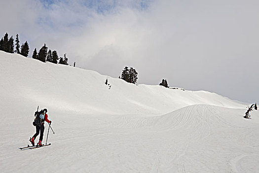 滑雪,向上,雪,斜坡,顶峰,山峰