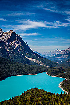概述,沛托湖湖,从,弓峰,班芙国家公园,阿尔伯塔,加拿大