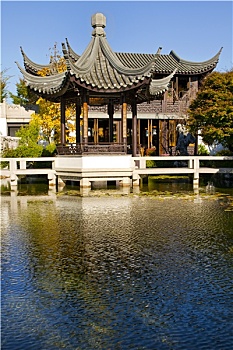 亭子,茶园,中式花园