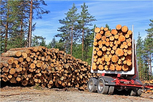 木料,拖车,一堆,原木