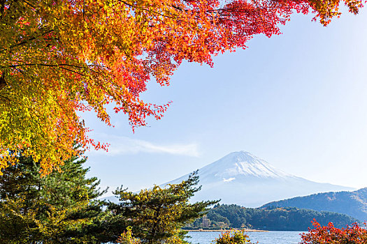 富士山