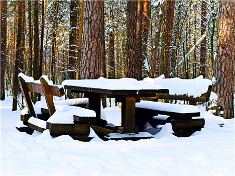 桌子,冬天,树林
