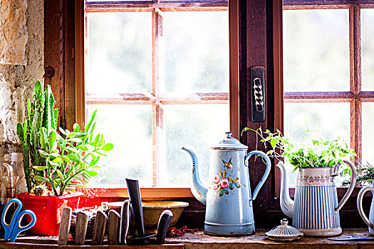 乡村,咖啡壶,盆栽,厨房,窗台