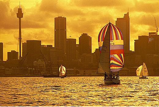 帆船,港口,日落,悉尼,澳大利亚