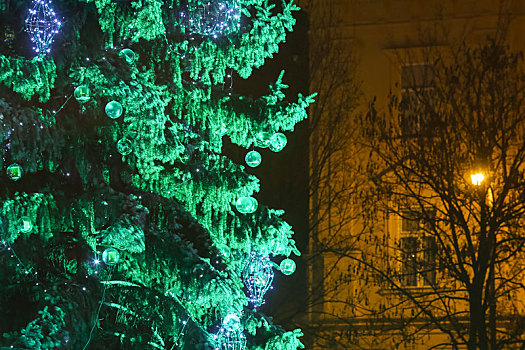 绿色,圣诞树,萨格勒布