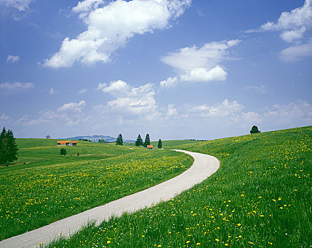 春天,道路