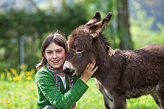 女孩,11岁,驴,小马,果园,巴伐利亚,德国,欧洲