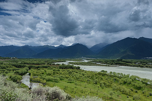 西藏雅尼湿地4