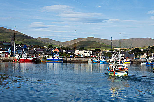 捕鱼,港口,城镇,丁格尔半岛,凯瑞郡,爱尔兰