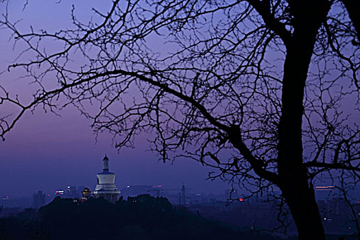 北京西城区北海公园白塔夜景