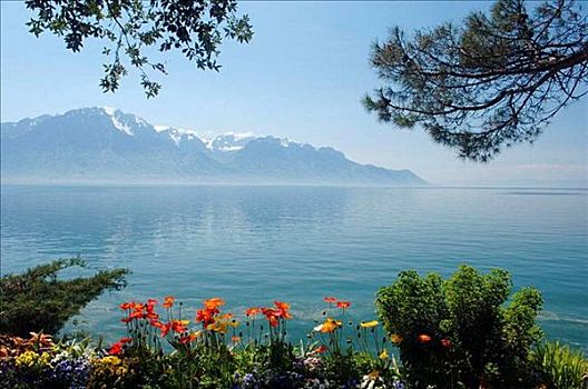 阿尔卑斯山,日内瓦湖,水岸,蒙特勒,瑞士,欧洲