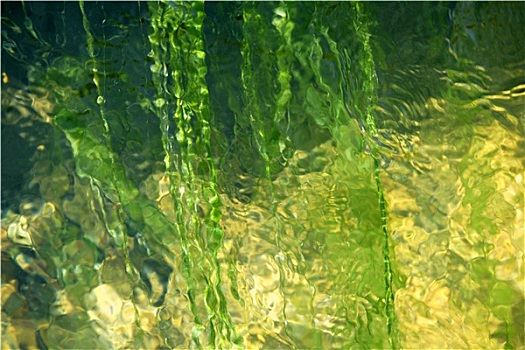 抽象,绿色,黄河,纹理