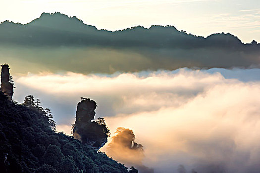 湖南,张家界,峰林,朝霞,云海